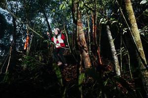 BIB: 
                            <button type="button" onclick="openModal(26393327)" class="btn btn-primary btn-sm float-right btn-popup" data-toggle="modal" data-target=".modal-high-quality">
                        <i class="fas fa-shopping-cart"></i> Add to Cart
                    </button>
                                            <button type="button" onclick="isThisMe(26393327, true)" class="btn btn-success btn-sm float-right btn-popup btn-isme hidden" data-toggle="tooltip" data-placement="bottom" title="นี่คือรูปของคุณใช่ไหม คลิกที่นี่เพื่อเอาเข้าอัลบั้ม">
                        <i class="fas fa-plus"></i> Add to album
                    </button>
                    <button type="button" onclick="isThisMe(26393327, false)" class="btn btn-warning btn-sm float-right btn-popup btn-isnotme hidden">
                        <i class="fas fa-ban"></i> Remove from album
                    </button>