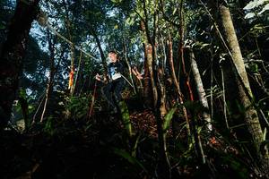 BIB: 
                            <button type="button" onclick="openModal(26392627)" class="btn btn-primary btn-sm float-right btn-popup" data-toggle="modal" data-target=".modal-high-quality">
                        <i class="fas fa-shopping-cart"></i> Add to Cart
                    </button>
                                            <button type="button" onclick="isThisMe(26392627, true)" class="btn btn-success btn-sm float-right btn-popup btn-isme hidden" data-toggle="tooltip" data-placement="bottom" title="นี่คือรูปของคุณใช่ไหม คลิกที่นี่เพื่อเอาเข้าอัลบั้ม">
                        <i class="fas fa-plus"></i> Add to album
                    </button>
                    <button type="button" onclick="isThisMe(26392627, false)" class="btn btn-warning btn-sm float-right btn-popup btn-isnotme hidden">
                        <i class="fas fa-ban"></i> Remove from album
                    </button>