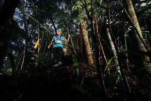 BIB: 
                            <button type="button" onclick="openModal(26388929)" class="btn btn-primary btn-sm float-right btn-popup" data-toggle="modal" data-target=".modal-high-quality">
                        <i class="fas fa-shopping-cart"></i> Add to Cart
                    </button>
                                            <button type="button" onclick="isThisMe(26388929, true)" class="btn btn-success btn-sm float-right btn-popup btn-isme hidden" data-toggle="tooltip" data-placement="bottom" title="นี่คือรูปของคุณใช่ไหม คลิกที่นี่เพื่อเอาเข้าอัลบั้ม">
                        <i class="fas fa-plus"></i> Add to album
                    </button>
                    <button type="button" onclick="isThisMe(26388929, false)" class="btn btn-warning btn-sm float-right btn-popup btn-isnotme hidden">
                        <i class="fas fa-ban"></i> Remove from album
                    </button>