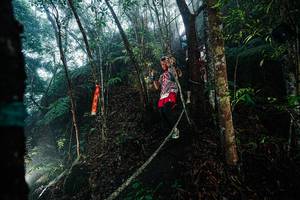 BIB: 
                            <button type="button" onclick="openModal(26401632)" class="btn btn-primary btn-sm float-right btn-popup" data-toggle="modal" data-target=".modal-high-quality">
                        <i class="fas fa-shopping-cart"></i> Add to Cart
                    </button>
                                            <button type="button" onclick="isThisMe(26401632, true)" class="btn btn-success btn-sm float-right btn-popup btn-isme hidden" data-toggle="tooltip" data-placement="bottom" title="นี่คือรูปของคุณใช่ไหม คลิกที่นี่เพื่อเอาเข้าอัลบั้ม">
                        <i class="fas fa-plus"></i> Add to album
                    </button>
                    <button type="button" onclick="isThisMe(26401632, false)" class="btn btn-warning btn-sm float-right btn-popup btn-isnotme hidden">
                        <i class="fas fa-ban"></i> Remove from album
                    </button>