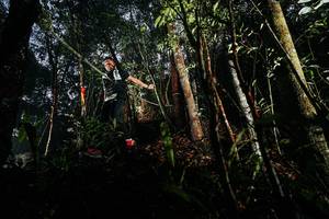 BIB: 
                            <button type="button" onclick="openModal(26389052)" class="btn btn-primary btn-sm float-right btn-popup" data-toggle="modal" data-target=".modal-high-quality">
                        <i class="fas fa-shopping-cart"></i> Add to Cart
                    </button>
                                            <button type="button" onclick="isThisMe(26389052, true)" class="btn btn-success btn-sm float-right btn-popup btn-isme hidden" data-toggle="tooltip" data-placement="bottom" title="นี่คือรูปของคุณใช่ไหม คลิกที่นี่เพื่อเอาเข้าอัลบั้ม">
                        <i class="fas fa-plus"></i> Add to album
                    </button>
                    <button type="button" onclick="isThisMe(26389052, false)" class="btn btn-warning btn-sm float-right btn-popup btn-isnotme hidden">
                        <i class="fas fa-ban"></i> Remove from album
                    </button>