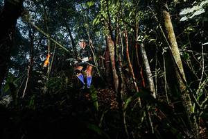 BIB: 
                            <button type="button" onclick="openModal(26392298)" class="btn btn-primary btn-sm float-right btn-popup" data-toggle="modal" data-target=".modal-high-quality">
                        <i class="fas fa-shopping-cart"></i> Add to Cart
                    </button>
                                            <button type="button" onclick="isThisMe(26392298, true)" class="btn btn-success btn-sm float-right btn-popup btn-isme hidden" data-toggle="tooltip" data-placement="bottom" title="นี่คือรูปของคุณใช่ไหม คลิกที่นี่เพื่อเอาเข้าอัลบั้ม">
                        <i class="fas fa-plus"></i> Add to album
                    </button>
                    <button type="button" onclick="isThisMe(26392298, false)" class="btn btn-warning btn-sm float-right btn-popup btn-isnotme hidden">
                        <i class="fas fa-ban"></i> Remove from album
                    </button>