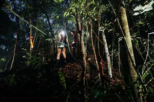 BIB: 
                            <button type="button" onclick="openModal(26387873)" class="btn btn-primary btn-sm float-right btn-popup" data-toggle="modal" data-target=".modal-high-quality">
                        <i class="fas fa-shopping-cart"></i> Add to Cart
                    </button>
                                            <button type="button" onclick="isThisMe(26387873, true)" class="btn btn-success btn-sm float-right btn-popup btn-isme hidden" data-toggle="tooltip" data-placement="bottom" title="นี่คือรูปของคุณใช่ไหม คลิกที่นี่เพื่อเอาเข้าอัลบั้ม">
                        <i class="fas fa-plus"></i> Add to album
                    </button>
                    <button type="button" onclick="isThisMe(26387873, false)" class="btn btn-warning btn-sm float-right btn-popup btn-isnotme hidden">
                        <i class="fas fa-ban"></i> Remove from album
                    </button>