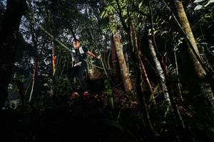 BIB: 
                            <button type="button" onclick="openModal(26389048)" class="btn btn-primary btn-sm float-right btn-popup" data-toggle="modal" data-target=".modal-high-quality">
                        <i class="fas fa-shopping-cart"></i> Add to Cart
                    </button>
                                            <button type="button" onclick="isThisMe(26389048, true)" class="btn btn-success btn-sm float-right btn-popup btn-isme hidden" data-toggle="tooltip" data-placement="bottom" title="นี่คือรูปของคุณใช่ไหม คลิกที่นี่เพื่อเอาเข้าอัลบั้ม">
                        <i class="fas fa-plus"></i> Add to album
                    </button>
                    <button type="button" onclick="isThisMe(26389048, false)" class="btn btn-warning btn-sm float-right btn-popup btn-isnotme hidden">
                        <i class="fas fa-ban"></i> Remove from album
                    </button>