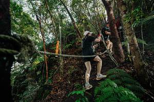 BIB: 
                            <button type="button" onclick="openModal(26404323)" class="btn btn-primary btn-sm float-right btn-popup" data-toggle="modal" data-target=".modal-high-quality">
                        <i class="fas fa-shopping-cart"></i> Add to Cart
                    </button>
                                            <button type="button" onclick="isThisMe(26404323, true)" class="btn btn-success btn-sm float-right btn-popup btn-isme hidden" data-toggle="tooltip" data-placement="bottom" title="นี่คือรูปของคุณใช่ไหม คลิกที่นี่เพื่อเอาเข้าอัลบั้ม">
                        <i class="fas fa-plus"></i> Add to album
                    </button>
                    <button type="button" onclick="isThisMe(26404323, false)" class="btn btn-warning btn-sm float-right btn-popup btn-isnotme hidden">
                        <i class="fas fa-ban"></i> Remove from album
                    </button>