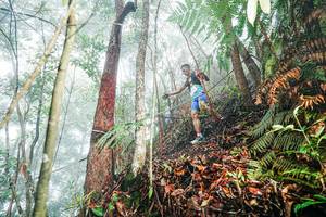 BIB: 
                            <button type="button" onclick="openModal(26402327)" class="btn btn-primary btn-sm float-right btn-popup" data-toggle="modal" data-target=".modal-high-quality">
                        <i class="fas fa-shopping-cart"></i> Add to Cart
                    </button>
                                            <button type="button" onclick="isThisMe(26402327, true)" class="btn btn-success btn-sm float-right btn-popup btn-isme hidden" data-toggle="tooltip" data-placement="bottom" title="นี่คือรูปของคุณใช่ไหม คลิกที่นี่เพื่อเอาเข้าอัลบั้ม">
                        <i class="fas fa-plus"></i> Add to album
                    </button>
                    <button type="button" onclick="isThisMe(26402327, false)" class="btn btn-warning btn-sm float-right btn-popup btn-isnotme hidden">
                        <i class="fas fa-ban"></i> Remove from album
                    </button>