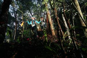 BIB: 
                            <button type="button" onclick="openModal(26389211)" class="btn btn-primary btn-sm float-right btn-popup" data-toggle="modal" data-target=".modal-high-quality">
                        <i class="fas fa-shopping-cart"></i> Add to Cart
                    </button>
                                            <button type="button" onclick="isThisMe(26389211, true)" class="btn btn-success btn-sm float-right btn-popup btn-isme hidden" data-toggle="tooltip" data-placement="bottom" title="นี่คือรูปของคุณใช่ไหม คลิกที่นี่เพื่อเอาเข้าอัลบั้ม">
                        <i class="fas fa-plus"></i> Add to album
                    </button>
                    <button type="button" onclick="isThisMe(26389211, false)" class="btn btn-warning btn-sm float-right btn-popup btn-isnotme hidden">
                        <i class="fas fa-ban"></i> Remove from album
                    </button>