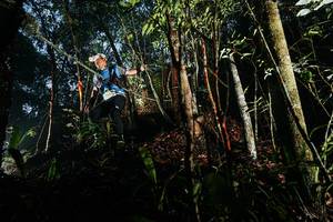 BIB: 
                            <button type="button" onclick="openModal(26390009)" class="btn btn-primary btn-sm float-right btn-popup" data-toggle="modal" data-target=".modal-high-quality">
                        <i class="fas fa-shopping-cart"></i> Add to Cart
                    </button>
                                            <button type="button" onclick="isThisMe(26390009, true)" class="btn btn-success btn-sm float-right btn-popup btn-isme hidden" data-toggle="tooltip" data-placement="bottom" title="นี่คือรูปของคุณใช่ไหม คลิกที่นี่เพื่อเอาเข้าอัลบั้ม">
                        <i class="fas fa-plus"></i> Add to album
                    </button>
                    <button type="button" onclick="isThisMe(26390009, false)" class="btn btn-warning btn-sm float-right btn-popup btn-isnotme hidden">
                        <i class="fas fa-ban"></i> Remove from album
                    </button>