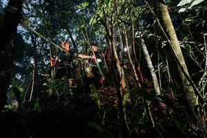 BIB: 
                            <button type="button" onclick="openModal(26390597)" class="btn btn-primary btn-sm float-right btn-popup" data-toggle="modal" data-target=".modal-high-quality">
                        <i class="fas fa-shopping-cart"></i> Add to Cart
                    </button>
                                            <button type="button" onclick="isThisMe(26390597, true)" class="btn btn-success btn-sm float-right btn-popup btn-isme hidden" data-toggle="tooltip" data-placement="bottom" title="นี่คือรูปของคุณใช่ไหม คลิกที่นี่เพื่อเอาเข้าอัลบั้ม">
                        <i class="fas fa-plus"></i> Add to album
                    </button>
                    <button type="button" onclick="isThisMe(26390597, false)" class="btn btn-warning btn-sm float-right btn-popup btn-isnotme hidden">
                        <i class="fas fa-ban"></i> Remove from album
                    </button>