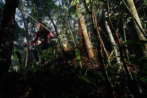 BIB: 
                            <button type="button" onclick="openModal(26389188)" class="btn btn-primary btn-sm float-right btn-popup" data-toggle="modal" data-target=".modal-high-quality">
                        <i class="fas fa-shopping-cart"></i> Add to Cart
                    </button>
                                            <button type="button" onclick="isThisMe(26389188, true)" class="btn btn-success btn-sm float-right btn-popup btn-isme hidden" data-toggle="tooltip" data-placement="bottom" title="นี่คือรูปของคุณใช่ไหม คลิกที่นี่เพื่อเอาเข้าอัลบั้ม">
                        <i class="fas fa-plus"></i> Add to album
                    </button>
                    <button type="button" onclick="isThisMe(26389188, false)" class="btn btn-warning btn-sm float-right btn-popup btn-isnotme hidden">
                        <i class="fas fa-ban"></i> Remove from album
                    </button>