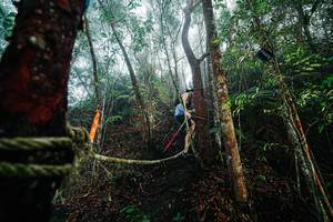 BIB: 
                            <button type="button" onclick="openModal(26402233)" class="btn btn-primary btn-sm float-right btn-popup" data-toggle="modal" data-target=".modal-high-quality">
                        <i class="fas fa-shopping-cart"></i> Add to Cart
                    </button>
                                            <button type="button" onclick="isThisMe(26402233, true)" class="btn btn-success btn-sm float-right btn-popup btn-isme hidden" data-toggle="tooltip" data-placement="bottom" title="นี่คือรูปของคุณใช่ไหม คลิกที่นี่เพื่อเอาเข้าอัลบั้ม">
                        <i class="fas fa-plus"></i> Add to album
                    </button>
                    <button type="button" onclick="isThisMe(26402233, false)" class="btn btn-warning btn-sm float-right btn-popup btn-isnotme hidden">
                        <i class="fas fa-ban"></i> Remove from album
                    </button>