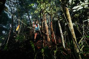 BIB: 
                            <button type="button" onclick="openModal(26392728)" class="btn btn-primary btn-sm float-right btn-popup" data-toggle="modal" data-target=".modal-high-quality">
                        <i class="fas fa-shopping-cart"></i> Add to Cart
                    </button>
                                            <button type="button" onclick="isThisMe(26392728, true)" class="btn btn-success btn-sm float-right btn-popup btn-isme hidden" data-toggle="tooltip" data-placement="bottom" title="นี่คือรูปของคุณใช่ไหม คลิกที่นี่เพื่อเอาเข้าอัลบั้ม">
                        <i class="fas fa-plus"></i> Add to album
                    </button>
                    <button type="button" onclick="isThisMe(26392728, false)" class="btn btn-warning btn-sm float-right btn-popup btn-isnotme hidden">
                        <i class="fas fa-ban"></i> Remove from album
                    </button>