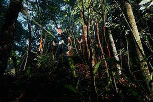 BIB: 
                            <button type="button" onclick="openModal(26392632)" class="btn btn-primary btn-sm float-right btn-popup" data-toggle="modal" data-target=".modal-high-quality">
                        <i class="fas fa-shopping-cart"></i> Add to Cart
                    </button>
                                            <button type="button" onclick="isThisMe(26392632, true)" class="btn btn-success btn-sm float-right btn-popup btn-isme hidden" data-toggle="tooltip" data-placement="bottom" title="นี่คือรูปของคุณใช่ไหม คลิกที่นี่เพื่อเอาเข้าอัลบั้ม">
                        <i class="fas fa-plus"></i> Add to album
                    </button>
                    <button type="button" onclick="isThisMe(26392632, false)" class="btn btn-warning btn-sm float-right btn-popup btn-isnotme hidden">
                        <i class="fas fa-ban"></i> Remove from album
                    </button>