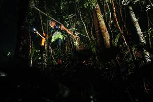 BIB: 
                            <button type="button" onclick="openModal(26383703)" class="btn btn-primary btn-sm float-right btn-popup" data-toggle="modal" data-target=".modal-high-quality">
                        <i class="fas fa-shopping-cart"></i> Add to Cart
                    </button>
                                            <button type="button" onclick="isThisMe(26383703, true)" class="btn btn-success btn-sm float-right btn-popup btn-isme hidden" data-toggle="tooltip" data-placement="bottom" title="นี่คือรูปของคุณใช่ไหม คลิกที่นี่เพื่อเอาเข้าอัลบั้ม">
                        <i class="fas fa-plus"></i> Add to album
                    </button>
                    <button type="button" onclick="isThisMe(26383703, false)" class="btn btn-warning btn-sm float-right btn-popup btn-isnotme hidden">
                        <i class="fas fa-ban"></i> Remove from album
                    </button>