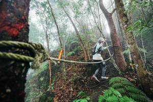 BIB: 
                            <button type="button" onclick="openModal(26402427)" class="btn btn-primary btn-sm float-right btn-popup" data-toggle="modal" data-target=".modal-high-quality">
                        <i class="fas fa-shopping-cart"></i> Add to Cart
                    </button>
                                            <button type="button" onclick="isThisMe(26402427, true)" class="btn btn-success btn-sm float-right btn-popup btn-isme hidden" data-toggle="tooltip" data-placement="bottom" title="นี่คือรูปของคุณใช่ไหม คลิกที่นี่เพื่อเอาเข้าอัลบั้ม">
                        <i class="fas fa-plus"></i> Add to album
                    </button>
                    <button type="button" onclick="isThisMe(26402427, false)" class="btn btn-warning btn-sm float-right btn-popup btn-isnotme hidden">
                        <i class="fas fa-ban"></i> Remove from album
                    </button>