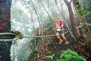 BIB: 
                            <button type="button" onclick="openModal(26402349)" class="btn btn-primary btn-sm float-right btn-popup" data-toggle="modal" data-target=".modal-high-quality">
                        <i class="fas fa-shopping-cart"></i> Add to Cart
                    </button>
                                            <button type="button" onclick="isThisMe(26402349, true)" class="btn btn-success btn-sm float-right btn-popup btn-isme hidden" data-toggle="tooltip" data-placement="bottom" title="นี่คือรูปของคุณใช่ไหม คลิกที่นี่เพื่อเอาเข้าอัลบั้ม">
                        <i class="fas fa-plus"></i> Add to album
                    </button>
                    <button type="button" onclick="isThisMe(26402349, false)" class="btn btn-warning btn-sm float-right btn-popup btn-isnotme hidden">
                        <i class="fas fa-ban"></i> Remove from album
                    </button>