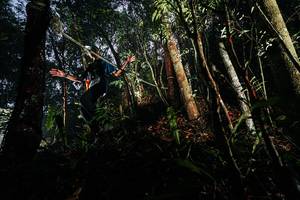 BIB: 
                            <button type="button" onclick="openModal(26388690)" class="btn btn-primary btn-sm float-right btn-popup" data-toggle="modal" data-target=".modal-high-quality">
                        <i class="fas fa-shopping-cart"></i> Add to Cart
                    </button>
                                            <button type="button" onclick="isThisMe(26388690, true)" class="btn btn-success btn-sm float-right btn-popup btn-isme hidden" data-toggle="tooltip" data-placement="bottom" title="นี่คือรูปของคุณใช่ไหม คลิกที่นี่เพื่อเอาเข้าอัลบั้ม">
                        <i class="fas fa-plus"></i> Add to album
                    </button>
                    <button type="button" onclick="isThisMe(26388690, false)" class="btn btn-warning btn-sm float-right btn-popup btn-isnotme hidden">
                        <i class="fas fa-ban"></i> Remove from album
                    </button>