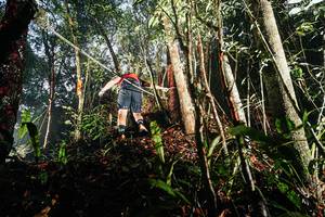 BIB: 
                            <button type="button" onclick="openModal(26389337)" class="btn btn-primary btn-sm float-right btn-popup" data-toggle="modal" data-target=".modal-high-quality">
                        <i class="fas fa-shopping-cart"></i> Add to Cart
                    </button>
                                            <button type="button" onclick="isThisMe(26389337, true)" class="btn btn-success btn-sm float-right btn-popup btn-isme hidden" data-toggle="tooltip" data-placement="bottom" title="นี่คือรูปของคุณใช่ไหม คลิกที่นี่เพื่อเอาเข้าอัลบั้ม">
                        <i class="fas fa-plus"></i> Add to album
                    </button>
                    <button type="button" onclick="isThisMe(26389337, false)" class="btn btn-warning btn-sm float-right btn-popup btn-isnotme hidden">
                        <i class="fas fa-ban"></i> Remove from album
                    </button>