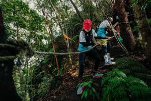 BIB: 
                            <button type="button" onclick="openModal(26405655)" class="btn btn-primary btn-sm float-right btn-popup" data-toggle="modal" data-target=".modal-high-quality">
                        <i class="fas fa-shopping-cart"></i> Add to Cart
                    </button>
                                            <button type="button" onclick="isThisMe(26405655, true)" class="btn btn-success btn-sm float-right btn-popup btn-isme hidden" data-toggle="tooltip" data-placement="bottom" title="นี่คือรูปของคุณใช่ไหม คลิกที่นี่เพื่อเอาเข้าอัลบั้ม">
                        <i class="fas fa-plus"></i> Add to album
                    </button>
                    <button type="button" onclick="isThisMe(26405655, false)" class="btn btn-warning btn-sm float-right btn-popup btn-isnotme hidden">
                        <i class="fas fa-ban"></i> Remove from album
                    </button>