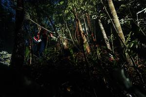 BIB: 
                            <button type="button" onclick="openModal(26386771)" class="btn btn-primary btn-sm float-right btn-popup" data-toggle="modal" data-target=".modal-high-quality">
                        <i class="fas fa-shopping-cart"></i> Add to Cart
                    </button>
                                            <button type="button" onclick="isThisMe(26386771, true)" class="btn btn-success btn-sm float-right btn-popup btn-isme hidden" data-toggle="tooltip" data-placement="bottom" title="นี่คือรูปของคุณใช่ไหม คลิกที่นี่เพื่อเอาเข้าอัลบั้ม">
                        <i class="fas fa-plus"></i> Add to album
                    </button>
                    <button type="button" onclick="isThisMe(26386771, false)" class="btn btn-warning btn-sm float-right btn-popup btn-isnotme hidden">
                        <i class="fas fa-ban"></i> Remove from album
                    </button>