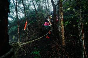 BIB: 
                            <button type="button" onclick="openModal(26401624)" class="btn btn-primary btn-sm float-right btn-popup" data-toggle="modal" data-target=".modal-high-quality">
                        <i class="fas fa-shopping-cart"></i> Add to Cart
                    </button>
                                            <button type="button" onclick="isThisMe(26401624, true)" class="btn btn-success btn-sm float-right btn-popup btn-isme hidden" data-toggle="tooltip" data-placement="bottom" title="นี่คือรูปของคุณใช่ไหม คลิกที่นี่เพื่อเอาเข้าอัลบั้ม">
                        <i class="fas fa-plus"></i> Add to album
                    </button>
                    <button type="button" onclick="isThisMe(26401624, false)" class="btn btn-warning btn-sm float-right btn-popup btn-isnotme hidden">
                        <i class="fas fa-ban"></i> Remove from album
                    </button>