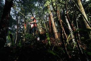 BIB: 
                            <button type="button" onclick="openModal(26389263)" class="btn btn-primary btn-sm float-right btn-popup" data-toggle="modal" data-target=".modal-high-quality">
                        <i class="fas fa-shopping-cart"></i> Add to Cart
                    </button>
                                            <button type="button" onclick="isThisMe(26389263, true)" class="btn btn-success btn-sm float-right btn-popup btn-isme hidden" data-toggle="tooltip" data-placement="bottom" title="นี่คือรูปของคุณใช่ไหม คลิกที่นี่เพื่อเอาเข้าอัลบั้ม">
                        <i class="fas fa-plus"></i> Add to album
                    </button>
                    <button type="button" onclick="isThisMe(26389263, false)" class="btn btn-warning btn-sm float-right btn-popup btn-isnotme hidden">
                        <i class="fas fa-ban"></i> Remove from album
                    </button>