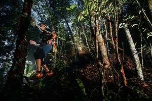 BIB: 
                            <button type="button" onclick="openModal(26389646)" class="btn btn-primary btn-sm float-right btn-popup" data-toggle="modal" data-target=".modal-high-quality">
                        <i class="fas fa-shopping-cart"></i> Add to Cart
                    </button>
                                            <button type="button" onclick="isThisMe(26389646, true)" class="btn btn-success btn-sm float-right btn-popup btn-isme hidden" data-toggle="tooltip" data-placement="bottom" title="นี่คือรูปของคุณใช่ไหม คลิกที่นี่เพื่อเอาเข้าอัลบั้ม">
                        <i class="fas fa-plus"></i> Add to album
                    </button>
                    <button type="button" onclick="isThisMe(26389646, false)" class="btn btn-warning btn-sm float-right btn-popup btn-isnotme hidden">
                        <i class="fas fa-ban"></i> Remove from album
                    </button>