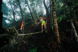 BIB: 
                            <button type="button" onclick="openModal(26401275)" class="btn btn-primary btn-sm float-right btn-popup" data-toggle="modal" data-target=".modal-high-quality">
                        <i class="fas fa-shopping-cart"></i> Add to Cart
                    </button>
                                            <button type="button" onclick="isThisMe(26401275, true)" class="btn btn-success btn-sm float-right btn-popup btn-isme hidden" data-toggle="tooltip" data-placement="bottom" title="นี่คือรูปของคุณใช่ไหม คลิกที่นี่เพื่อเอาเข้าอัลบั้ม">
                        <i class="fas fa-plus"></i> Add to album
                    </button>
                    <button type="button" onclick="isThisMe(26401275, false)" class="btn btn-warning btn-sm float-right btn-popup btn-isnotme hidden">
                        <i class="fas fa-ban"></i> Remove from album
                    </button>