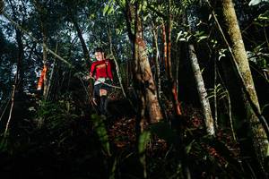 BIB: 
                            <button type="button" onclick="openModal(26393338)" class="btn btn-primary btn-sm float-right btn-popup" data-toggle="modal" data-target=".modal-high-quality">
                        <i class="fas fa-shopping-cart"></i> Add to Cart
                    </button>
                                            <button type="button" onclick="isThisMe(26393338, true)" class="btn btn-success btn-sm float-right btn-popup btn-isme hidden" data-toggle="tooltip" data-placement="bottom" title="นี่คือรูปของคุณใช่ไหม คลิกที่นี่เพื่อเอาเข้าอัลบั้ม">
                        <i class="fas fa-plus"></i> Add to album
                    </button>
                    <button type="button" onclick="isThisMe(26393338, false)" class="btn btn-warning btn-sm float-right btn-popup btn-isnotme hidden">
                        <i class="fas fa-ban"></i> Remove from album
                    </button>