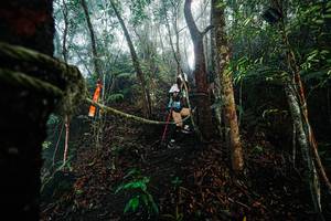 BIB: 
                            <button type="button" onclick="openModal(26402082)" class="btn btn-primary btn-sm float-right btn-popup" data-toggle="modal" data-target=".modal-high-quality">
                        <i class="fas fa-shopping-cart"></i> Add to Cart
                    </button>
                                            <button type="button" onclick="isThisMe(26402082, true)" class="btn btn-success btn-sm float-right btn-popup btn-isme hidden" data-toggle="tooltip" data-placement="bottom" title="นี่คือรูปของคุณใช่ไหม คลิกที่นี่เพื่อเอาเข้าอัลบั้ม">
                        <i class="fas fa-plus"></i> Add to album
                    </button>
                    <button type="button" onclick="isThisMe(26402082, false)" class="btn btn-warning btn-sm float-right btn-popup btn-isnotme hidden">
                        <i class="fas fa-ban"></i> Remove from album
                    </button>