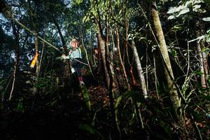 BIB: 
                            <button type="button" onclick="openModal(26391688)" class="btn btn-primary btn-sm float-right btn-popup" data-toggle="modal" data-target=".modal-high-quality">
                        <i class="fas fa-shopping-cart"></i> Add to Cart
                    </button>
                                            <button type="button" onclick="isThisMe(26391688, true)" class="btn btn-success btn-sm float-right btn-popup btn-isme hidden" data-toggle="tooltip" data-placement="bottom" title="นี่คือรูปของคุณใช่ไหม คลิกที่นี่เพื่อเอาเข้าอัลบั้ม">
                        <i class="fas fa-plus"></i> Add to album
                    </button>
                    <button type="button" onclick="isThisMe(26391688, false)" class="btn btn-warning btn-sm float-right btn-popup btn-isnotme hidden">
                        <i class="fas fa-ban"></i> Remove from album
                    </button>