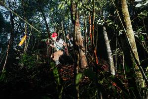 BIB: 
                            <button type="button" onclick="openModal(26392811)" class="btn btn-primary btn-sm float-right btn-popup" data-toggle="modal" data-target=".modal-high-quality">
                        <i class="fas fa-shopping-cart"></i> Add to Cart
                    </button>
                                            <button type="button" onclick="isThisMe(26392811, true)" class="btn btn-success btn-sm float-right btn-popup btn-isme hidden" data-toggle="tooltip" data-placement="bottom" title="นี่คือรูปของคุณใช่ไหม คลิกที่นี่เพื่อเอาเข้าอัลบั้ม">
                        <i class="fas fa-plus"></i> Add to album
                    </button>
                    <button type="button" onclick="isThisMe(26392811, false)" class="btn btn-warning btn-sm float-right btn-popup btn-isnotme hidden">
                        <i class="fas fa-ban"></i> Remove from album
                    </button>