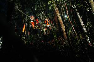 BIB: 
                            <button type="button" onclick="openModal(26385935)" class="btn btn-primary btn-sm float-right btn-popup" data-toggle="modal" data-target=".modal-high-quality">
                        <i class="fas fa-shopping-cart"></i> Add to Cart
                    </button>
                                            <button type="button" onclick="isThisMe(26385935, true)" class="btn btn-success btn-sm float-right btn-popup btn-isme hidden" data-toggle="tooltip" data-placement="bottom" title="นี่คือรูปของคุณใช่ไหม คลิกที่นี่เพื่อเอาเข้าอัลบั้ม">
                        <i class="fas fa-plus"></i> Add to album
                    </button>
                    <button type="button" onclick="isThisMe(26385935, false)" class="btn btn-warning btn-sm float-right btn-popup btn-isnotme hidden">
                        <i class="fas fa-ban"></i> Remove from album
                    </button>