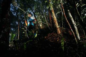 BIB: 
                            <button type="button" onclick="openModal(26388085)" class="btn btn-primary btn-sm float-right btn-popup" data-toggle="modal" data-target=".modal-high-quality">
                        <i class="fas fa-shopping-cart"></i> Add to Cart
                    </button>
                                            <button type="button" onclick="isThisMe(26388085, true)" class="btn btn-success btn-sm float-right btn-popup btn-isme hidden" data-toggle="tooltip" data-placement="bottom" title="นี่คือรูปของคุณใช่ไหม คลิกที่นี่เพื่อเอาเข้าอัลบั้ม">
                        <i class="fas fa-plus"></i> Add to album
                    </button>
                    <button type="button" onclick="isThisMe(26388085, false)" class="btn btn-warning btn-sm float-right btn-popup btn-isnotme hidden">
                        <i class="fas fa-ban"></i> Remove from album
                    </button>