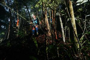 BIB: 
                            <button type="button" onclick="openModal(26389932)" class="btn btn-primary btn-sm float-right btn-popup" data-toggle="modal" data-target=".modal-high-quality">
                        <i class="fas fa-shopping-cart"></i> Add to Cart
                    </button>
                                            <button type="button" onclick="isThisMe(26389932, true)" class="btn btn-success btn-sm float-right btn-popup btn-isme hidden" data-toggle="tooltip" data-placement="bottom" title="นี่คือรูปของคุณใช่ไหม คลิกที่นี่เพื่อเอาเข้าอัลบั้ม">
                        <i class="fas fa-plus"></i> Add to album
                    </button>
                    <button type="button" onclick="isThisMe(26389932, false)" class="btn btn-warning btn-sm float-right btn-popup btn-isnotme hidden">
                        <i class="fas fa-ban"></i> Remove from album
                    </button>