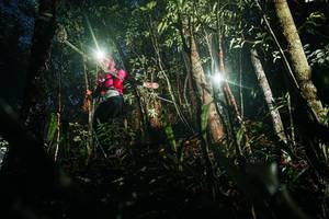 BIB: 
                            <button type="button" onclick="openModal(26386460)" class="btn btn-primary btn-sm float-right btn-popup" data-toggle="modal" data-target=".modal-high-quality">
                        <i class="fas fa-shopping-cart"></i> Add to Cart
                    </button>
                                            <button type="button" onclick="isThisMe(26386460, true)" class="btn btn-success btn-sm float-right btn-popup btn-isme hidden" data-toggle="tooltip" data-placement="bottom" title="นี่คือรูปของคุณใช่ไหม คลิกที่นี่เพื่อเอาเข้าอัลบั้ม">
                        <i class="fas fa-plus"></i> Add to album
                    </button>
                    <button type="button" onclick="isThisMe(26386460, false)" class="btn btn-warning btn-sm float-right btn-popup btn-isnotme hidden">
                        <i class="fas fa-ban"></i> Remove from album
                    </button>