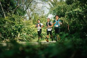 BIB: 
                            <button type="button" onclick="openModal(26406931)" class="btn btn-primary btn-sm float-right btn-popup" data-toggle="modal" data-target=".modal-high-quality">
                        <i class="fas fa-shopping-cart"></i> Add to Cart
                    </button>
                                            <button type="button" onclick="isThisMe(26406931, true)" class="btn btn-success btn-sm float-right btn-popup btn-isme hidden" data-toggle="tooltip" data-placement="bottom" title="นี่คือรูปของคุณใช่ไหม คลิกที่นี่เพื่อเอาเข้าอัลบั้ม">
                        <i class="fas fa-plus"></i> Add to album
                    </button>
                    <button type="button" onclick="isThisMe(26406931, false)" class="btn btn-warning btn-sm float-right btn-popup btn-isnotme hidden">
                        <i class="fas fa-ban"></i> Remove from album
                    </button>