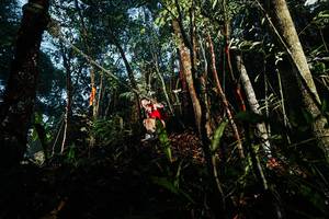 BIB: 
                            <button type="button" onclick="openModal(26392490)" class="btn btn-primary btn-sm float-right btn-popup" data-toggle="modal" data-target=".modal-high-quality">
                        <i class="fas fa-shopping-cart"></i> Add to Cart
                    </button>
                                            <button type="button" onclick="isThisMe(26392490, true)" class="btn btn-success btn-sm float-right btn-popup btn-isme hidden" data-toggle="tooltip" data-placement="bottom" title="นี่คือรูปของคุณใช่ไหม คลิกที่นี่เพื่อเอาเข้าอัลบั้ม">
                        <i class="fas fa-plus"></i> Add to album
                    </button>
                    <button type="button" onclick="isThisMe(26392490, false)" class="btn btn-warning btn-sm float-right btn-popup btn-isnotme hidden">
                        <i class="fas fa-ban"></i> Remove from album
                    </button>