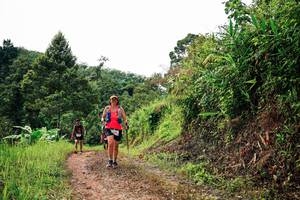 BIB: 
                            <button type="button" onclick="openModal(26329675)" class="btn btn-primary btn-sm float-right btn-popup" data-toggle="modal" data-target=".modal-high-quality">
                        <i class="fas fa-shopping-cart"></i> Add to Cart
                    </button>
                                            <button type="button" onclick="isThisMe(26329675, true)" class="btn btn-success btn-sm float-right btn-popup btn-isme hidden" data-toggle="tooltip" data-placement="bottom" title="นี่คือรูปของคุณใช่ไหม คลิกที่นี่เพื่อเอาเข้าอัลบั้ม">
                        <i class="fas fa-plus"></i> Add to album
                    </button>
                    <button type="button" onclick="isThisMe(26329675, false)" class="btn btn-warning btn-sm float-right btn-popup btn-isnotme hidden">
                        <i class="fas fa-ban"></i> Remove from album
                    </button>