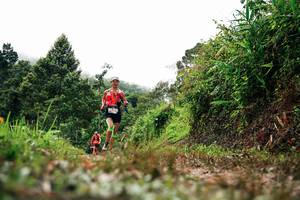 BIB: 
                            <button type="button" onclick="openModal(26326321)" class="btn btn-primary btn-sm float-right btn-popup" data-toggle="modal" data-target=".modal-high-quality">
                        <i class="fas fa-shopping-cart"></i> Add to Cart
                    </button>
                                            <button type="button" onclick="isThisMe(26326321, true)" class="btn btn-success btn-sm float-right btn-popup btn-isme hidden" data-toggle="tooltip" data-placement="bottom" title="นี่คือรูปของคุณใช่ไหม คลิกที่นี่เพื่อเอาเข้าอัลบั้ม">
                        <i class="fas fa-plus"></i> Add to album
                    </button>
                    <button type="button" onclick="isThisMe(26326321, false)" class="btn btn-warning btn-sm float-right btn-popup btn-isnotme hidden">
                        <i class="fas fa-ban"></i> Remove from album
                    </button>