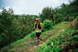 BIB: 
                            <button type="button" onclick="openModal(26337141)" class="btn btn-primary btn-sm float-right btn-popup" data-toggle="modal" data-target=".modal-high-quality">
                        <i class="fas fa-shopping-cart"></i> Add to Cart
                    </button>
                                            <button type="button" onclick="isThisMe(26337141, true)" class="btn btn-success btn-sm float-right btn-popup btn-isme hidden" data-toggle="tooltip" data-placement="bottom" title="นี่คือรูปของคุณใช่ไหม คลิกที่นี่เพื่อเอาเข้าอัลบั้ม">
                        <i class="fas fa-plus"></i> Add to album
                    </button>
                    <button type="button" onclick="isThisMe(26337141, false)" class="btn btn-warning btn-sm float-right btn-popup btn-isnotme hidden">
                        <i class="fas fa-ban"></i> Remove from album
                    </button>