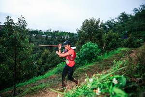 BIB: 
                            <button type="button" onclick="openModal(26341183)" class="btn btn-primary btn-sm float-right btn-popup" data-toggle="modal" data-target=".modal-high-quality">
                        <i class="fas fa-shopping-cart"></i> Add to Cart
                    </button>
                                            <button type="button" onclick="isThisMe(26341183, true)" class="btn btn-success btn-sm float-right btn-popup btn-isme hidden" data-toggle="tooltip" data-placement="bottom" title="นี่คือรูปของคุณใช่ไหม คลิกที่นี่เพื่อเอาเข้าอัลบั้ม">
                        <i class="fas fa-plus"></i> Add to album
                    </button>
                    <button type="button" onclick="isThisMe(26341183, false)" class="btn btn-warning btn-sm float-right btn-popup btn-isnotme hidden">
                        <i class="fas fa-ban"></i> Remove from album
                    </button>