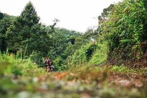 BIB: 
                            <button type="button" onclick="openModal(26328728)" class="btn btn-primary btn-sm float-right btn-popup" data-toggle="modal" data-target=".modal-high-quality">
                        <i class="fas fa-shopping-cart"></i> Add to Cart
                    </button>
                                            <button type="button" onclick="isThisMe(26328728, true)" class="btn btn-success btn-sm float-right btn-popup btn-isme hidden" data-toggle="tooltip" data-placement="bottom" title="นี่คือรูปของคุณใช่ไหม คลิกที่นี่เพื่อเอาเข้าอัลบั้ม">
                        <i class="fas fa-plus"></i> Add to album
                    </button>
                    <button type="button" onclick="isThisMe(26328728, false)" class="btn btn-warning btn-sm float-right btn-popup btn-isnotme hidden">
                        <i class="fas fa-ban"></i> Remove from album
                    </button>