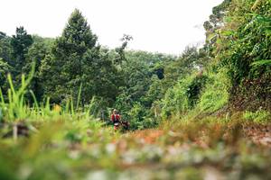 BIB: 
                            <button type="button" onclick="openModal(26328503)" class="btn btn-primary btn-sm float-right btn-popup" data-toggle="modal" data-target=".modal-high-quality">
                        <i class="fas fa-shopping-cart"></i> Add to Cart
                    </button>
                                            <button type="button" onclick="isThisMe(26328503, true)" class="btn btn-success btn-sm float-right btn-popup btn-isme hidden" data-toggle="tooltip" data-placement="bottom" title="นี่คือรูปของคุณใช่ไหม คลิกที่นี่เพื่อเอาเข้าอัลบั้ม">
                        <i class="fas fa-plus"></i> Add to album
                    </button>
                    <button type="button" onclick="isThisMe(26328503, false)" class="btn btn-warning btn-sm float-right btn-popup btn-isnotme hidden">
                        <i class="fas fa-ban"></i> Remove from album
                    </button>