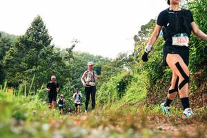 BIB: 
                            <button type="button" onclick="openModal(26327396)" class="btn btn-primary btn-sm float-right btn-popup" data-toggle="modal" data-target=".modal-high-quality">
                        <i class="fas fa-shopping-cart"></i> Add to Cart
                    </button>
                                            <button type="button" onclick="isThisMe(26327396, true)" class="btn btn-success btn-sm float-right btn-popup btn-isme hidden" data-toggle="tooltip" data-placement="bottom" title="นี่คือรูปของคุณใช่ไหม คลิกที่นี่เพื่อเอาเข้าอัลบั้ม">
                        <i class="fas fa-plus"></i> Add to album
                    </button>
                    <button type="button" onclick="isThisMe(26327396, false)" class="btn btn-warning btn-sm float-right btn-popup btn-isnotme hidden">
                        <i class="fas fa-ban"></i> Remove from album
                    </button>