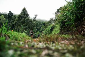 BIB: 
                            <button type="button" onclick="openModal(26326474)" class="btn btn-primary btn-sm float-right btn-popup" data-toggle="modal" data-target=".modal-high-quality">
                        <i class="fas fa-shopping-cart"></i> Add to Cart
                    </button>
                                            <button type="button" onclick="isThisMe(26326474, true)" class="btn btn-success btn-sm float-right btn-popup btn-isme hidden" data-toggle="tooltip" data-placement="bottom" title="นี่คือรูปของคุณใช่ไหม คลิกที่นี่เพื่อเอาเข้าอัลบั้ม">
                        <i class="fas fa-plus"></i> Add to album
                    </button>
                    <button type="button" onclick="isThisMe(26326474, false)" class="btn btn-warning btn-sm float-right btn-popup btn-isnotme hidden">
                        <i class="fas fa-ban"></i> Remove from album
                    </button>