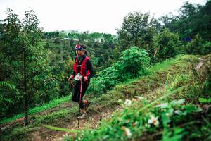 BIB: 
                            <button type="button" onclick="openModal(26339077)" class="btn btn-primary btn-sm float-right btn-popup" data-toggle="modal" data-target=".modal-high-quality">
                        <i class="fas fa-shopping-cart"></i> Add to Cart
                    </button>
                                            <button type="button" onclick="isThisMe(26339077, true)" class="btn btn-success btn-sm float-right btn-popup btn-isme hidden" data-toggle="tooltip" data-placement="bottom" title="นี่คือรูปของคุณใช่ไหม คลิกที่นี่เพื่อเอาเข้าอัลบั้ม">
                        <i class="fas fa-plus"></i> Add to album
                    </button>
                    <button type="button" onclick="isThisMe(26339077, false)" class="btn btn-warning btn-sm float-right btn-popup btn-isnotme hidden">
                        <i class="fas fa-ban"></i> Remove from album
                    </button>