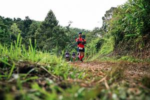 BIB: 
                            <button type="button" onclick="openModal(26331495)" class="btn btn-primary btn-sm float-right btn-popup" data-toggle="modal" data-target=".modal-high-quality">
                        <i class="fas fa-shopping-cart"></i> Add to Cart
                    </button>
                                            <button type="button" onclick="isThisMe(26331495, true)" class="btn btn-success btn-sm float-right btn-popup btn-isme hidden" data-toggle="tooltip" data-placement="bottom" title="นี่คือรูปของคุณใช่ไหม คลิกที่นี่เพื่อเอาเข้าอัลบั้ม">
                        <i class="fas fa-plus"></i> Add to album
                    </button>
                    <button type="button" onclick="isThisMe(26331495, false)" class="btn btn-warning btn-sm float-right btn-popup btn-isnotme hidden">
                        <i class="fas fa-ban"></i> Remove from album
                    </button>