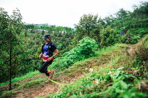 BIB: 
                            <button type="button" onclick="openModal(26339485)" class="btn btn-primary btn-sm float-right btn-popup" data-toggle="modal" data-target=".modal-high-quality">
                        <i class="fas fa-shopping-cart"></i> Add to Cart
                    </button>
                                            <button type="button" onclick="isThisMe(26339485, true)" class="btn btn-success btn-sm float-right btn-popup btn-isme hidden" data-toggle="tooltip" data-placement="bottom" title="นี่คือรูปของคุณใช่ไหม คลิกที่นี่เพื่อเอาเข้าอัลบั้ม">
                        <i class="fas fa-plus"></i> Add to album
                    </button>
                    <button type="button" onclick="isThisMe(26339485, false)" class="btn btn-warning btn-sm float-right btn-popup btn-isnotme hidden">
                        <i class="fas fa-ban"></i> Remove from album
                    </button>