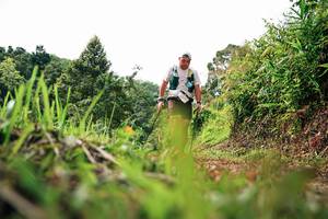 BIB: 
                            <button type="button" onclick="openModal(26331137)" class="btn btn-primary btn-sm float-right btn-popup" data-toggle="modal" data-target=".modal-high-quality">
                        <i class="fas fa-shopping-cart"></i> Add to Cart
                    </button>
                                            <button type="button" onclick="isThisMe(26331137, true)" class="btn btn-success btn-sm float-right btn-popup btn-isme hidden" data-toggle="tooltip" data-placement="bottom" title="นี่คือรูปของคุณใช่ไหม คลิกที่นี่เพื่อเอาเข้าอัลบั้ม">
                        <i class="fas fa-plus"></i> Add to album
                    </button>
                    <button type="button" onclick="isThisMe(26331137, false)" class="btn btn-warning btn-sm float-right btn-popup btn-isnotme hidden">
                        <i class="fas fa-ban"></i> Remove from album
                    </button>